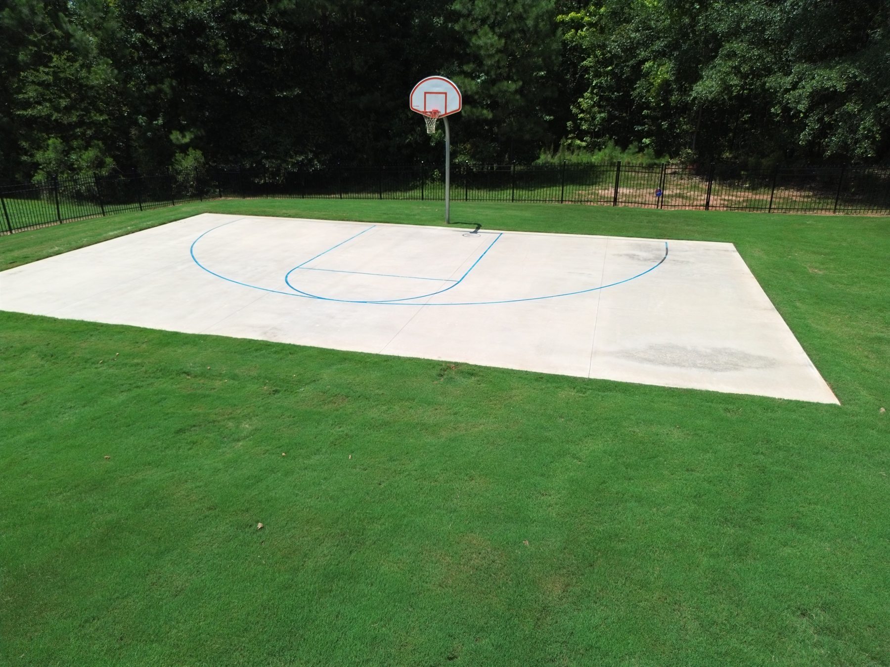 Outdoor basketball half court surrounded by grass and mature trees